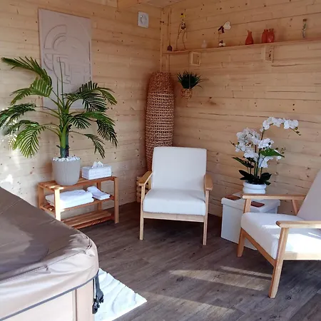 Climatisee Jacuzzi Prive 3* Lachapelle-Auzac